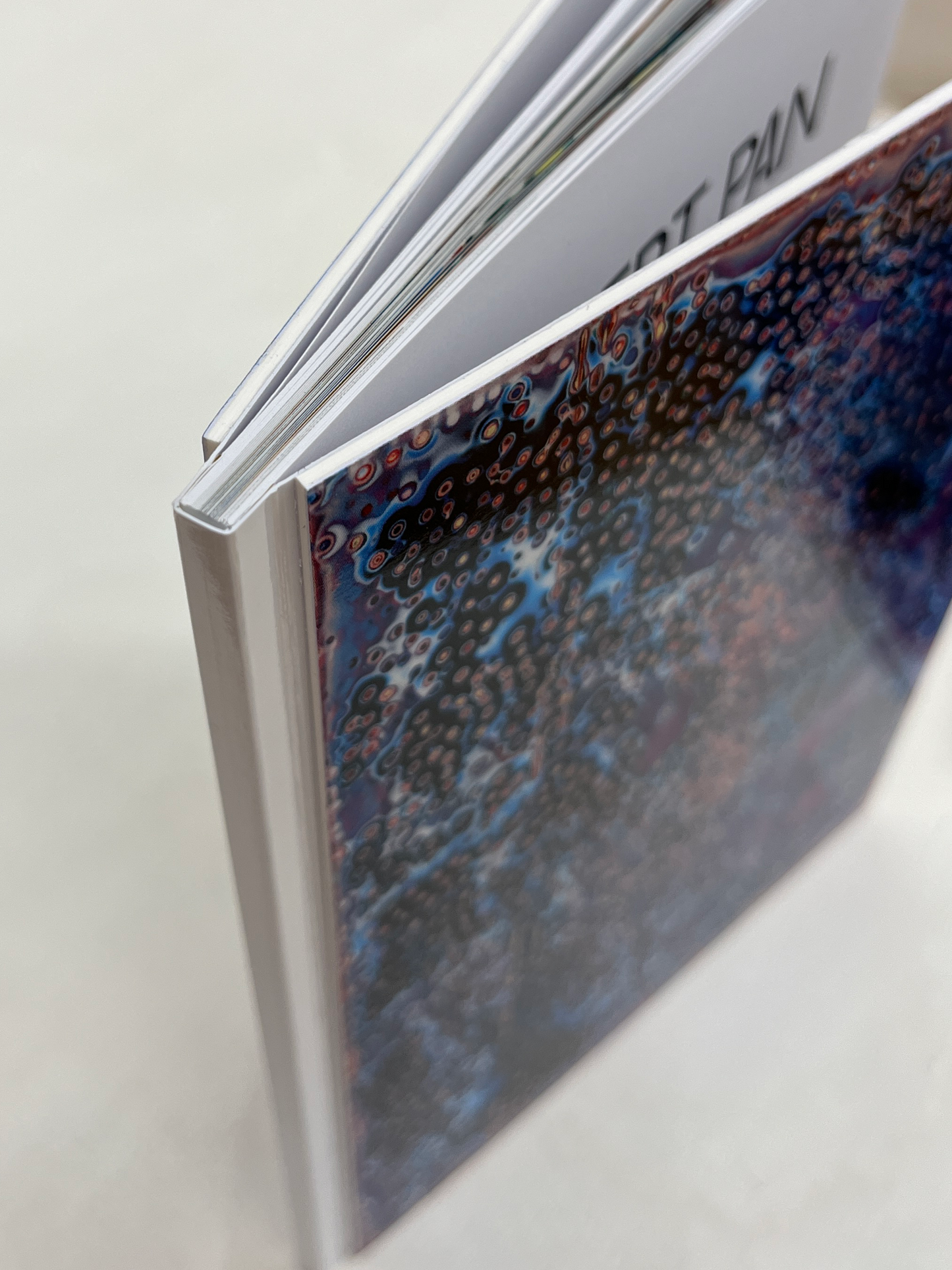 Catalogo Robert Pan