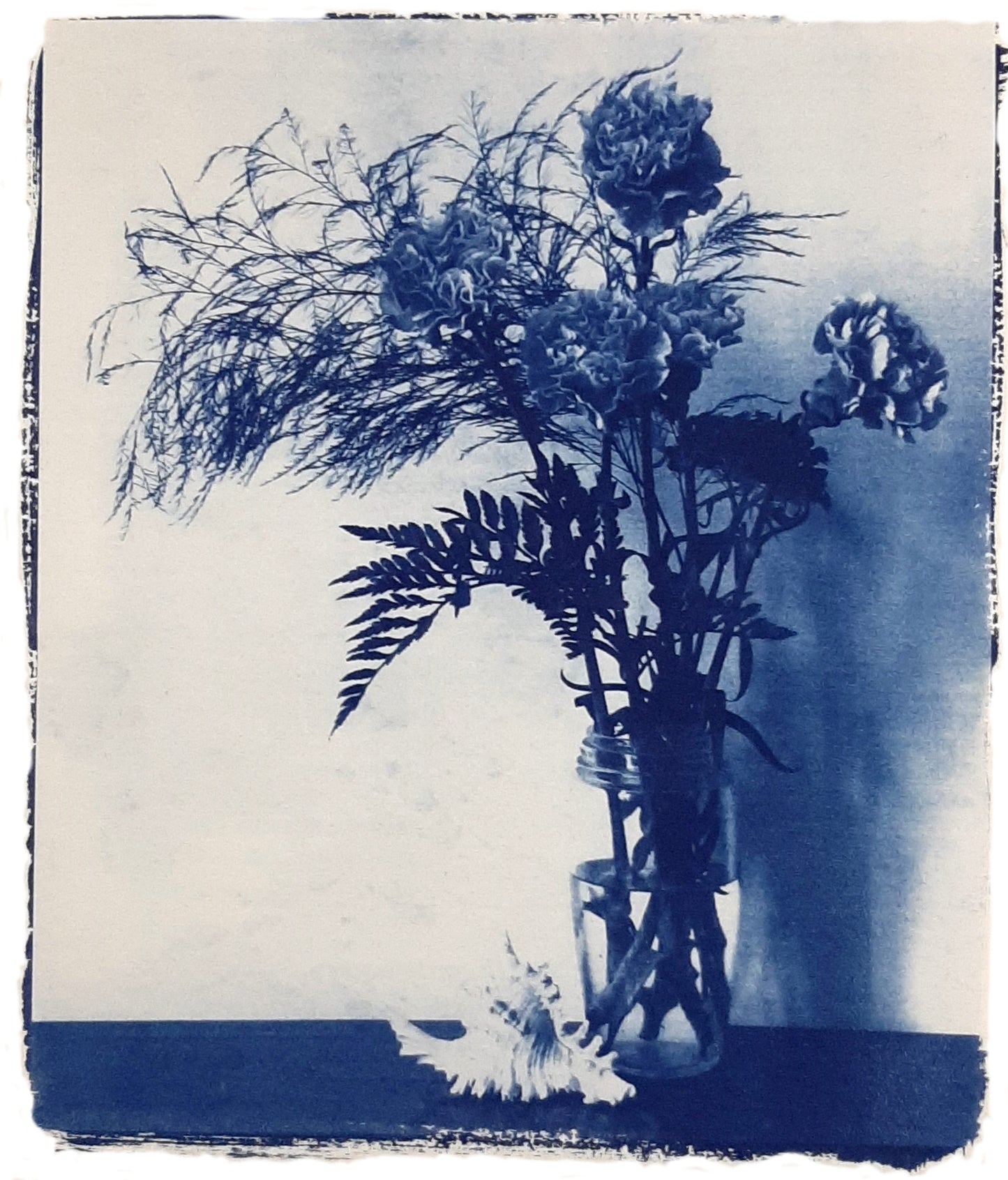Nelle camere blu | Garofani e conchiglia - Laura di Fazio