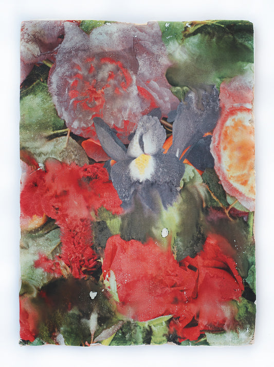 Forget me not III - Silvia Celeste Calcagno