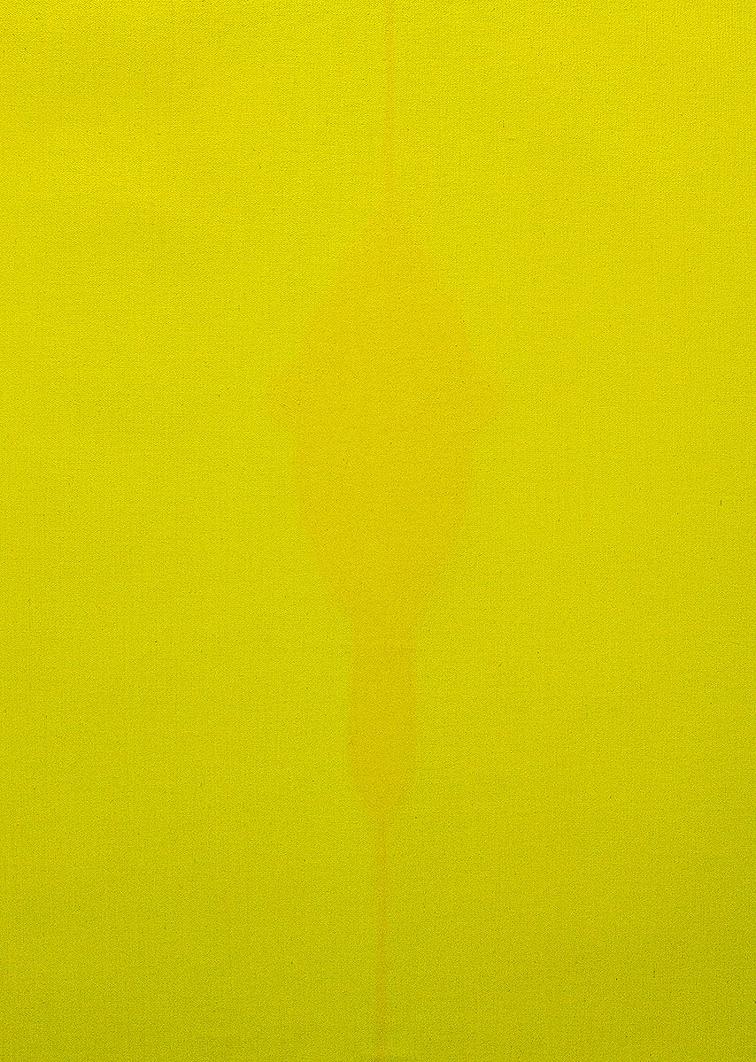 Oculto II - Madelaine Gamondés