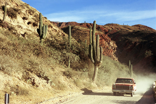 Camino, cactus grande y coche - Félix Curto