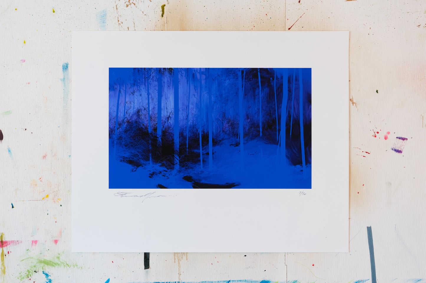 Diciannove alberi blu - Enrico Minguzzi