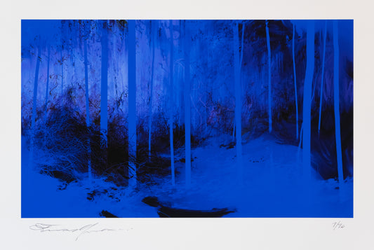 Diciannove alberi blu - Enrico Minguzzi